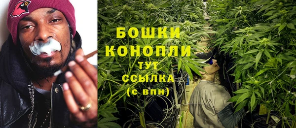 шишки Майский