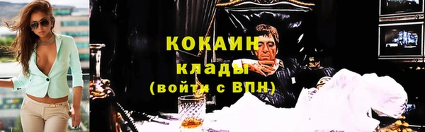 шишки Майский