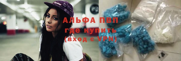шишки Майский
