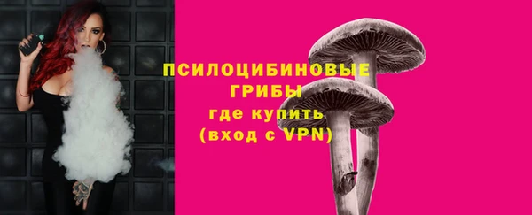PSILOCYBIN Магас
