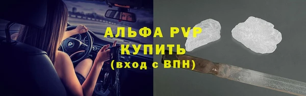 шишки Майский