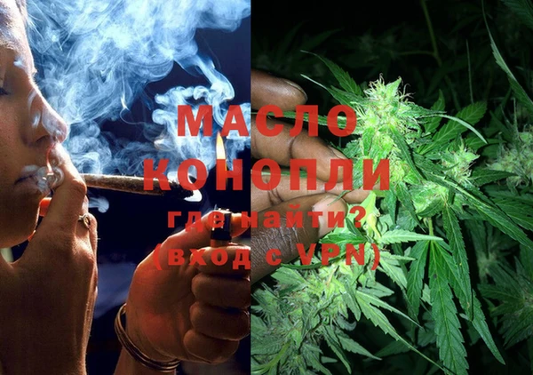 гашик Мегион