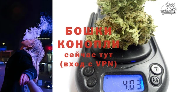 PSILOCYBIN Магас
