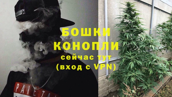 шишки Майский