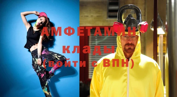 шишки Майский
