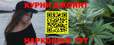 амф Кингисепп