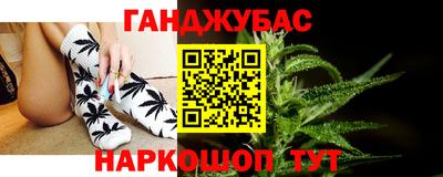 амф Кингисепп