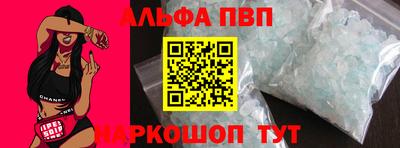 амф Кингисепп