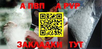 амф Кингисепп
