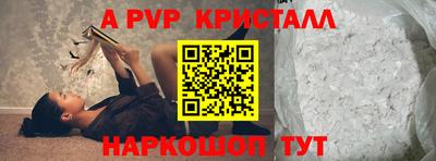 амф Кингисепп