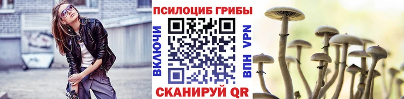 Псилоцибиновые грибы ЛСД  сайты даркнета клад  Лянтор 