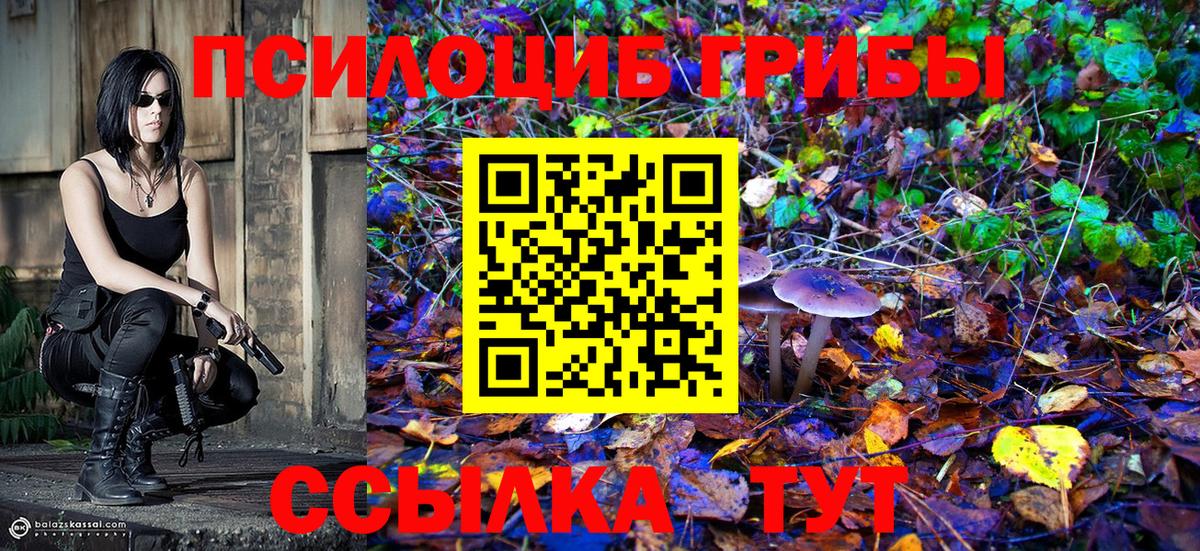 Псилоцибиновые грибы Magic Shrooms  Псилоцибиновые грибы Psilocybine cubensis  Вход с VPN  Лянтор 